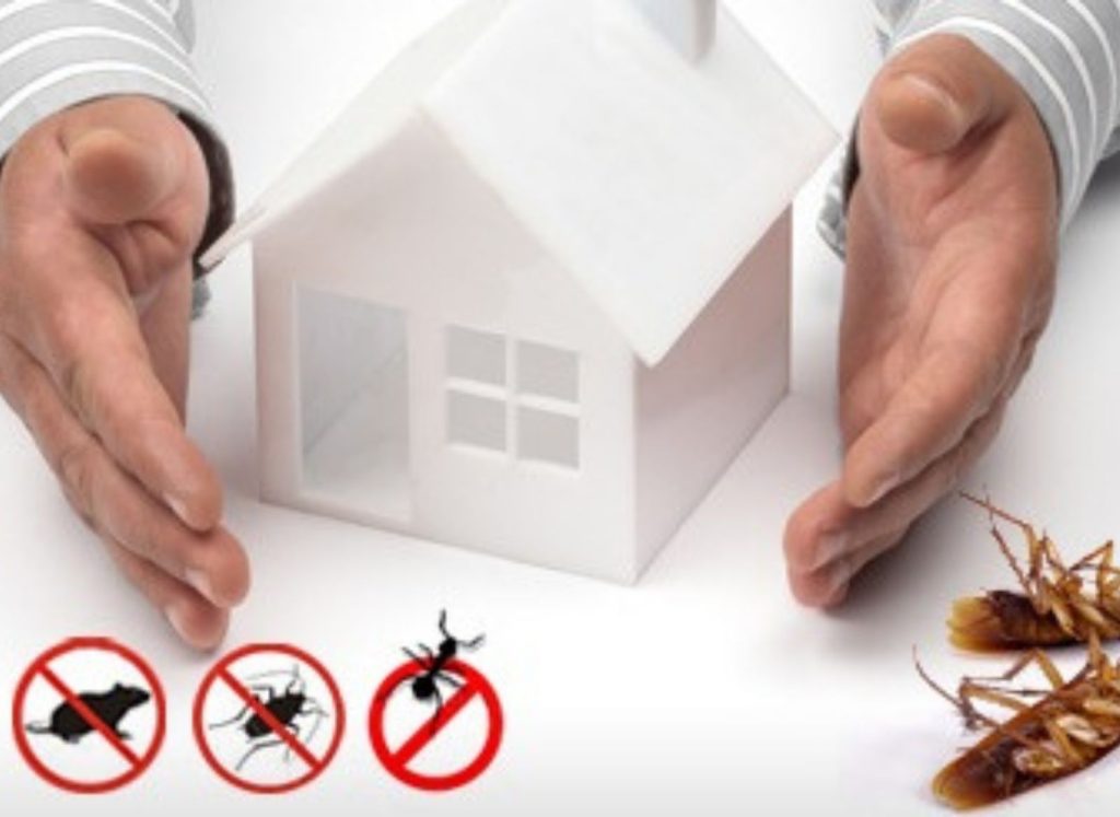 Top rated pest control companies