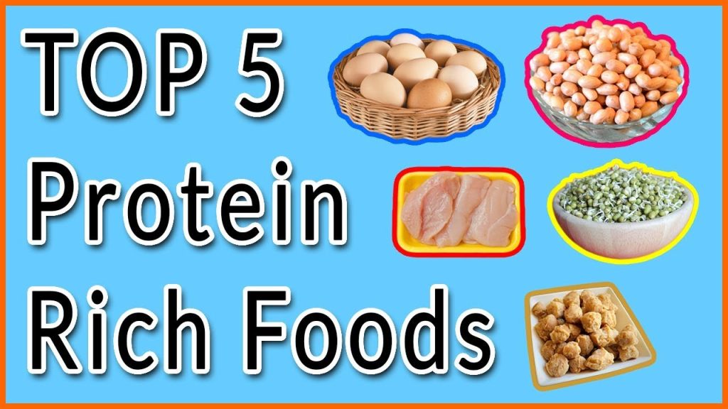 Top 5 High Protein Foods