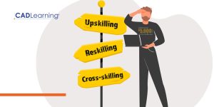 Types of Skill Development