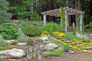 rock garden is the best place to visit in Chandigarh