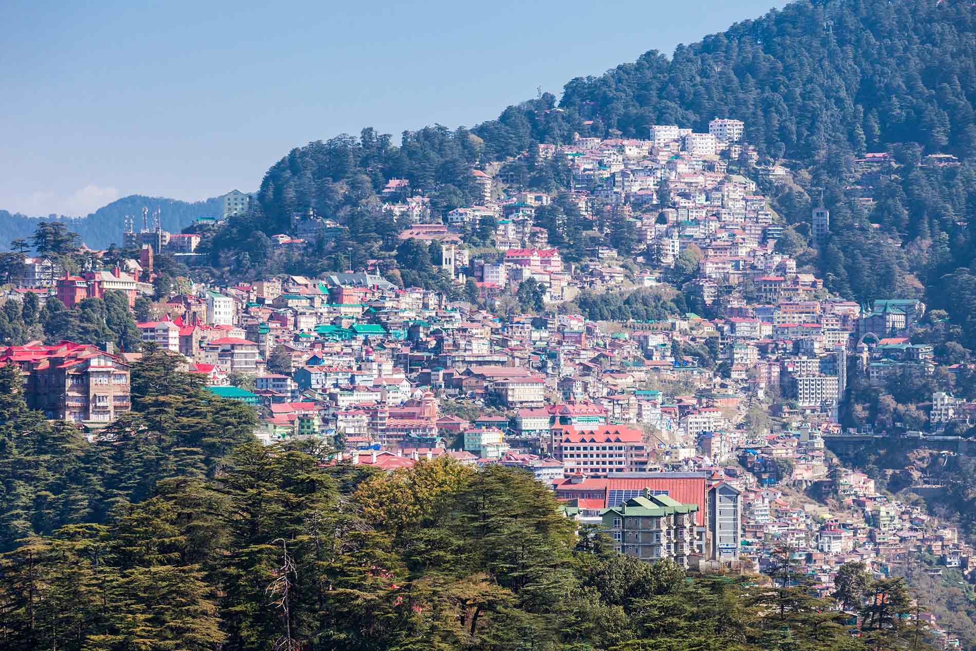 solan hp