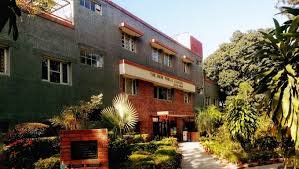 New Public School