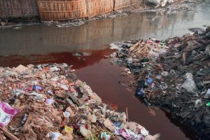 Fashion Pollution