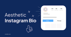 Impressive Bio to increase Instagram followers