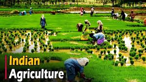 WHAT IS AGRICULTURE?